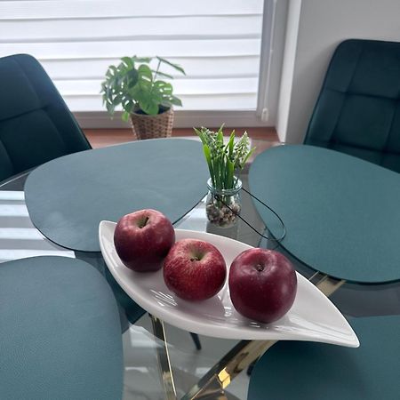 Apartament Chełm エクステリア 写真
