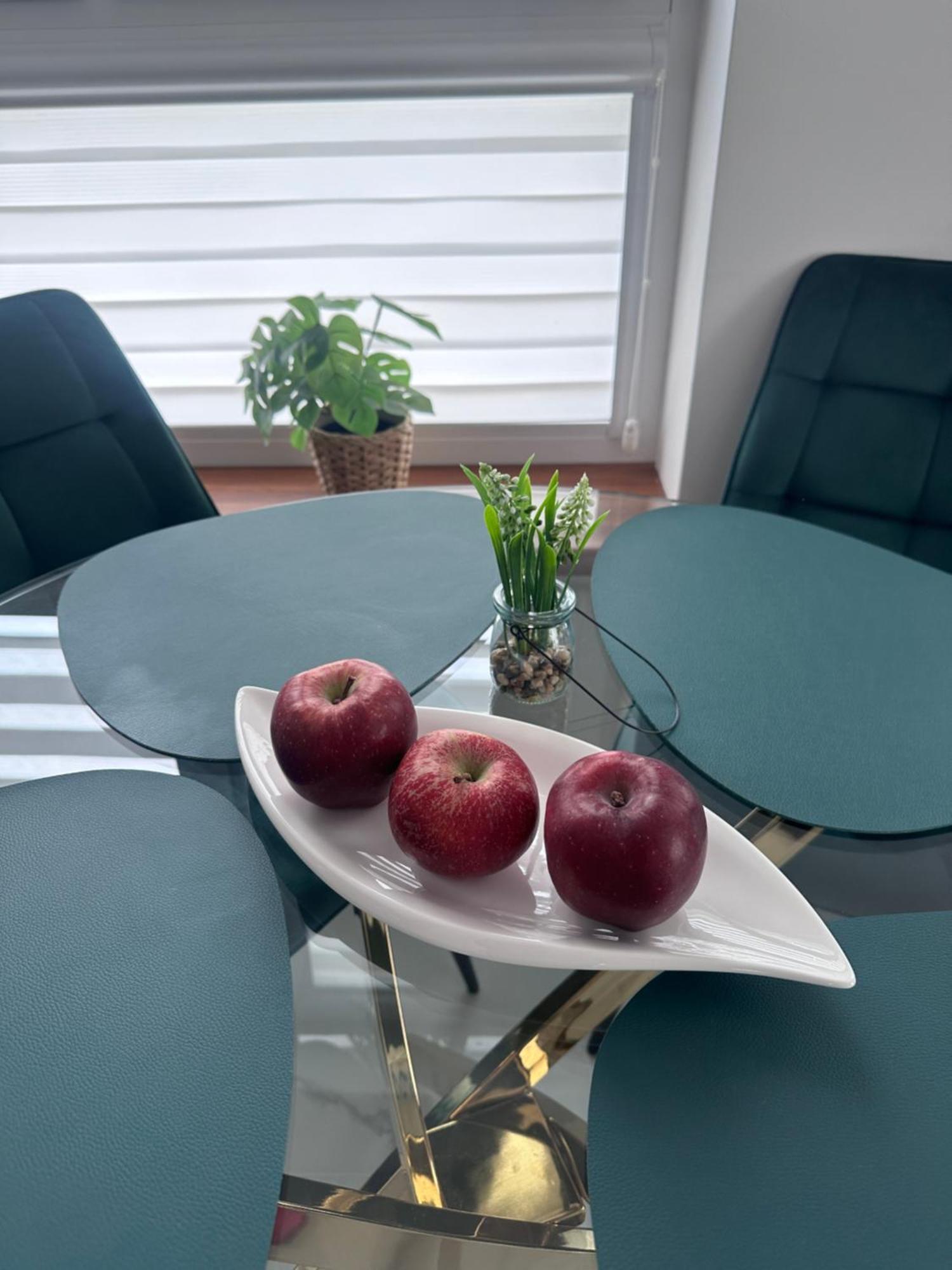 Apartament Chełm エクステリア 写真